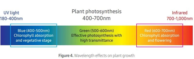 grow light led wavelength