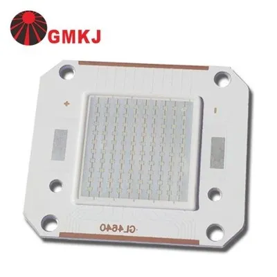 بجلی کی قیادت 100W 130LM فی واٹ