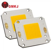 20W 30W 50W 60W 80W 100W DC COB LED ماڈیول۔