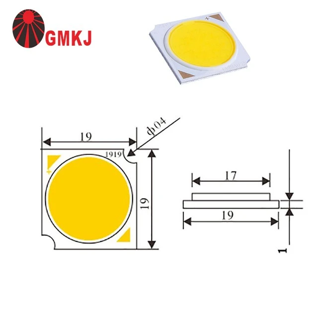 Cool White 6000-6500k 1919 COB 18w Led Chip Diode